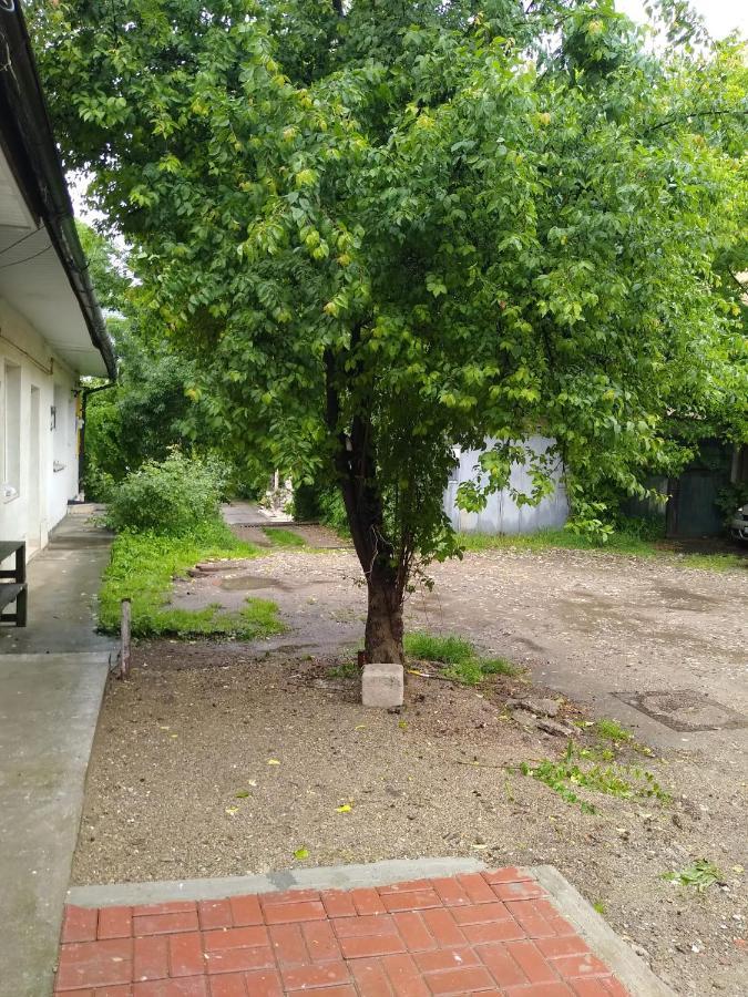 Garsoniera In Centru Daire Kaloşvar Dış mekan fotoğraf